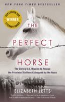 The_perfect_horse